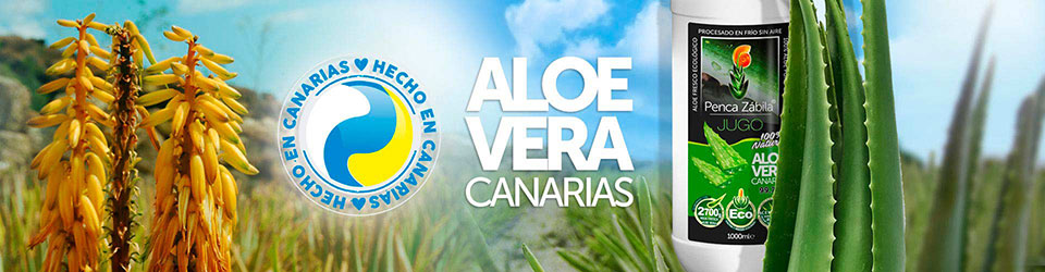 Aloe Vera Canario 100% Natural